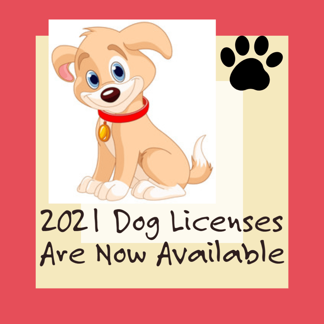 Dog licenses